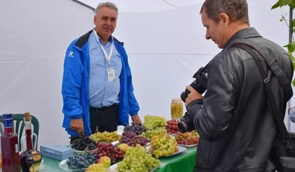 Фестиваль, посвящённый винограду и виноградарям