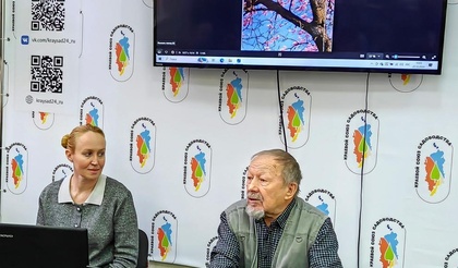 Клуб садоводов: изучаем и приручаем абрикос