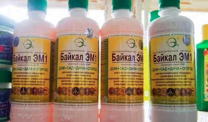 Микробиологические удобрения и рассада