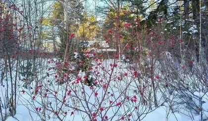 Зима на даче