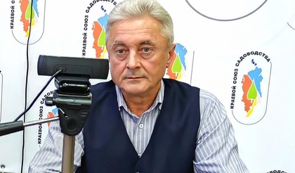Электронный документооборот – цели поставлены
