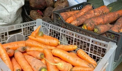 Да не оскудеет рука дающего!